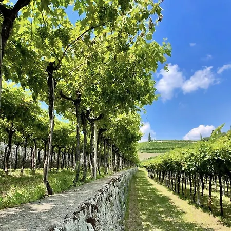 Chata Valpolicella Parking Gratuito Fino A 4 Pax *
